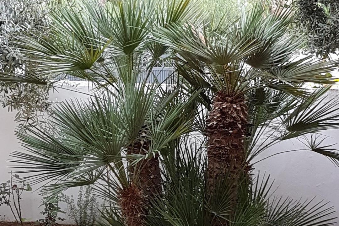 Photo of Outdoor in Mazara del Vallo