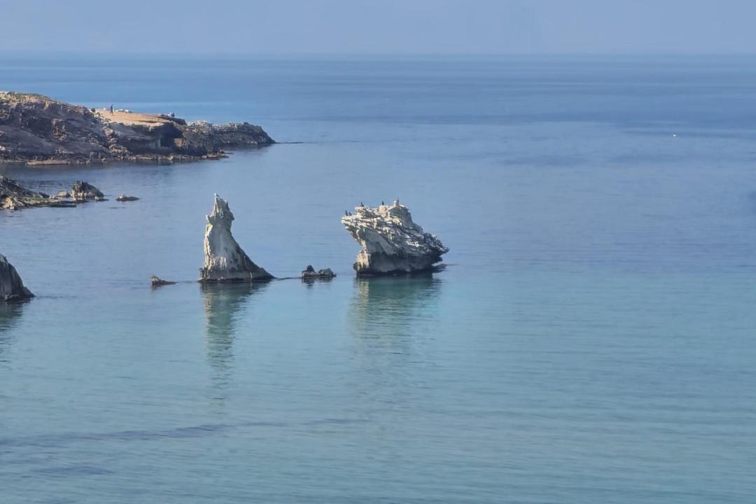 Photo of Others in Terrasini