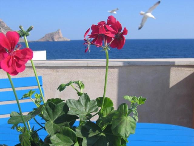 Photo of Patio Balcony in Marettimo