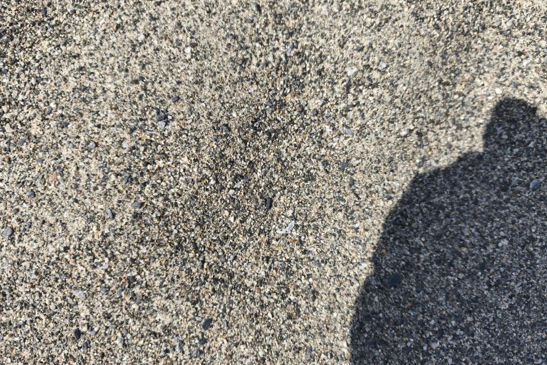 Photo of Others in Bocale