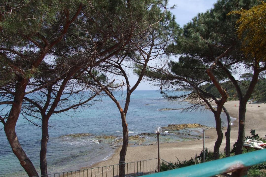 Photo of Others in Capo