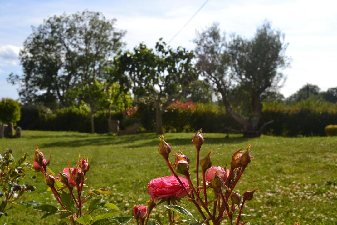 Photo of Others in Gallicchio