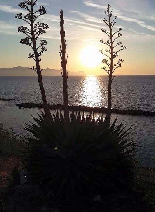 Photo of Outdoor in Trappeto