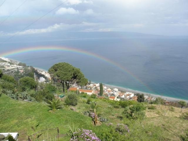 Photo of Others in Itala