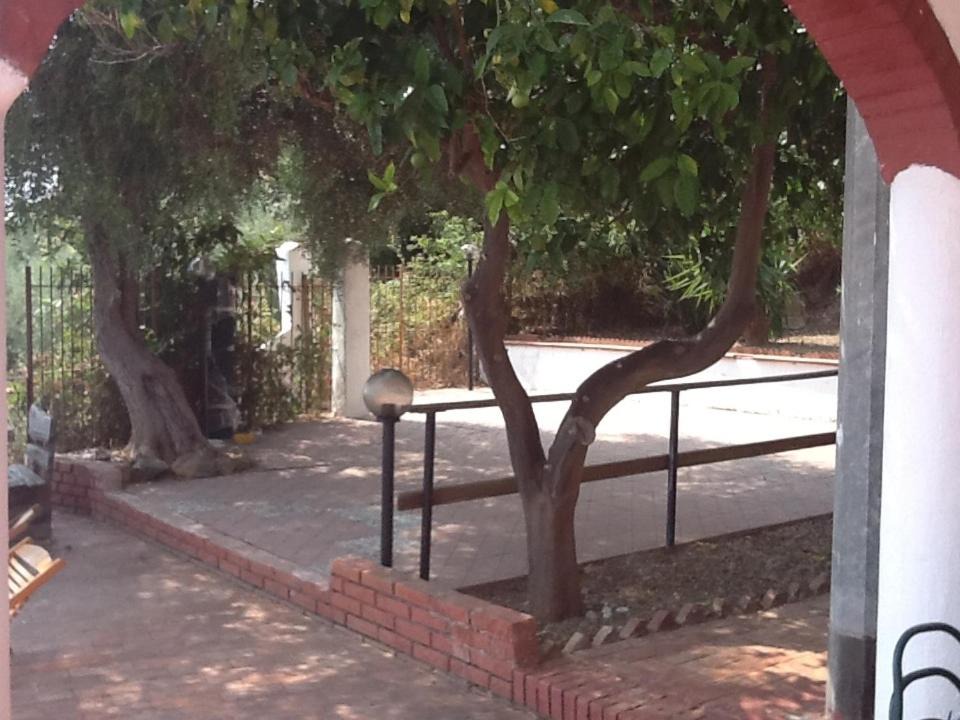 Photo of Patio Balcony in Itala