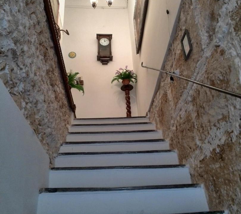 Photo of Others in Noto