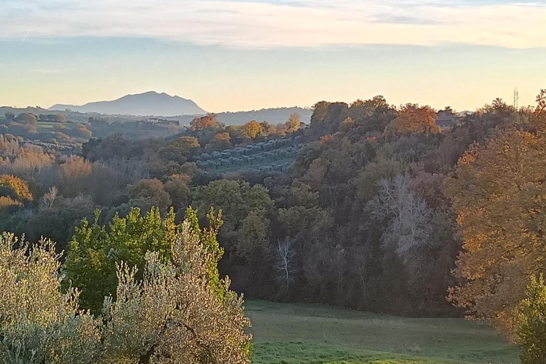 Photo of Others in Narni