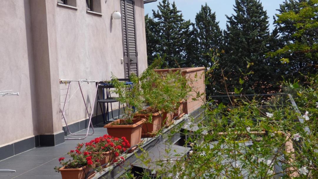 Photo of Others in Nicolosi