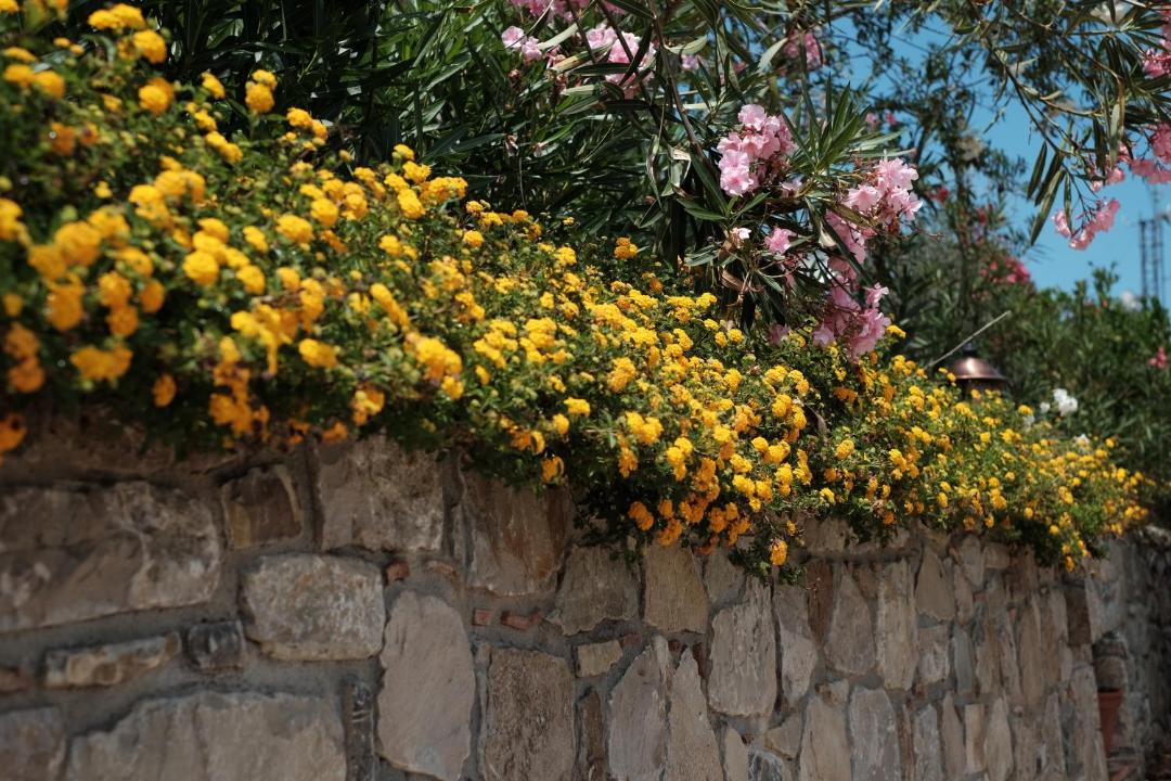 Photo of Others in Cefalu