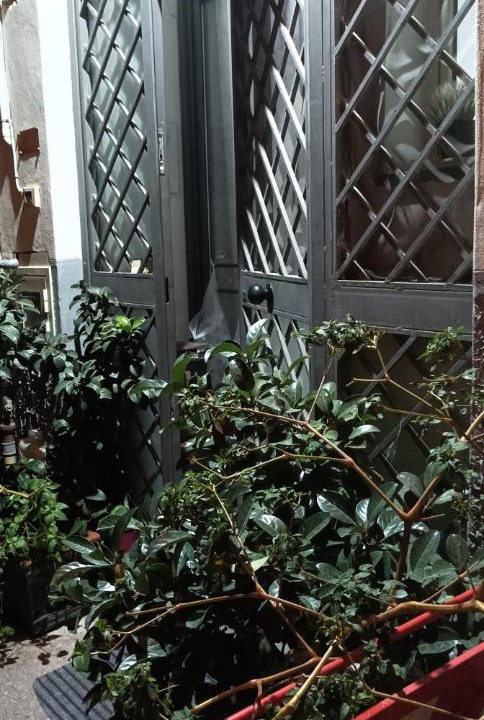 Photo of Others in Centro Storico