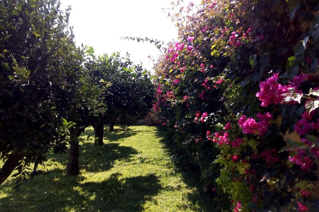 Photo of Outdoor in Marsala