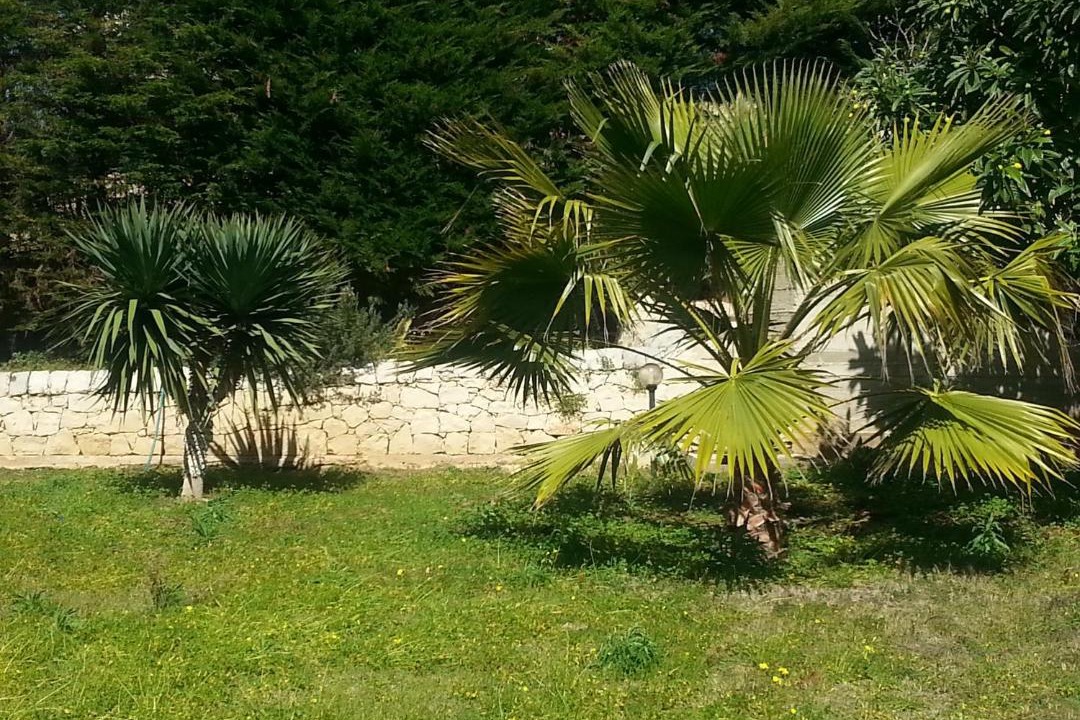Photo of Others in Cava dʼAliga