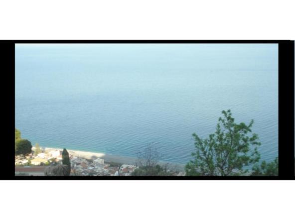 Photo of Others in Itala