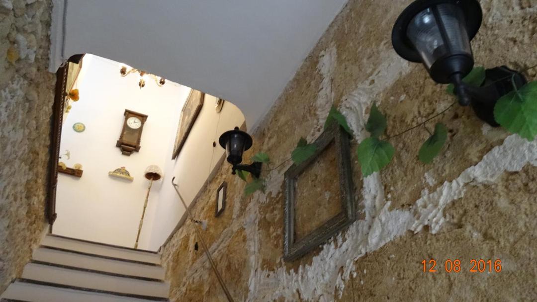Photo of Others in Noto