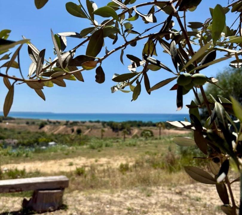 Photo of Others in Marinella di Selinunte