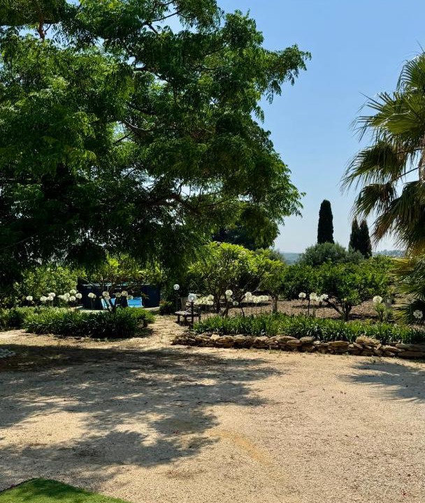 Photo of Others in Menfi