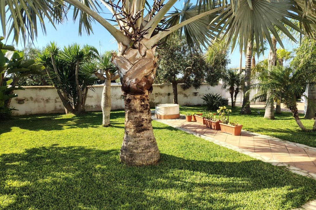 Photo of Others in Mazara del Vallo