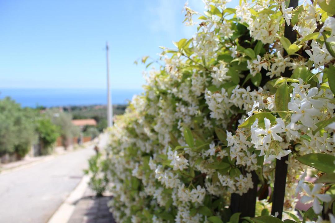 Photo of Others in Sant'Onofrio