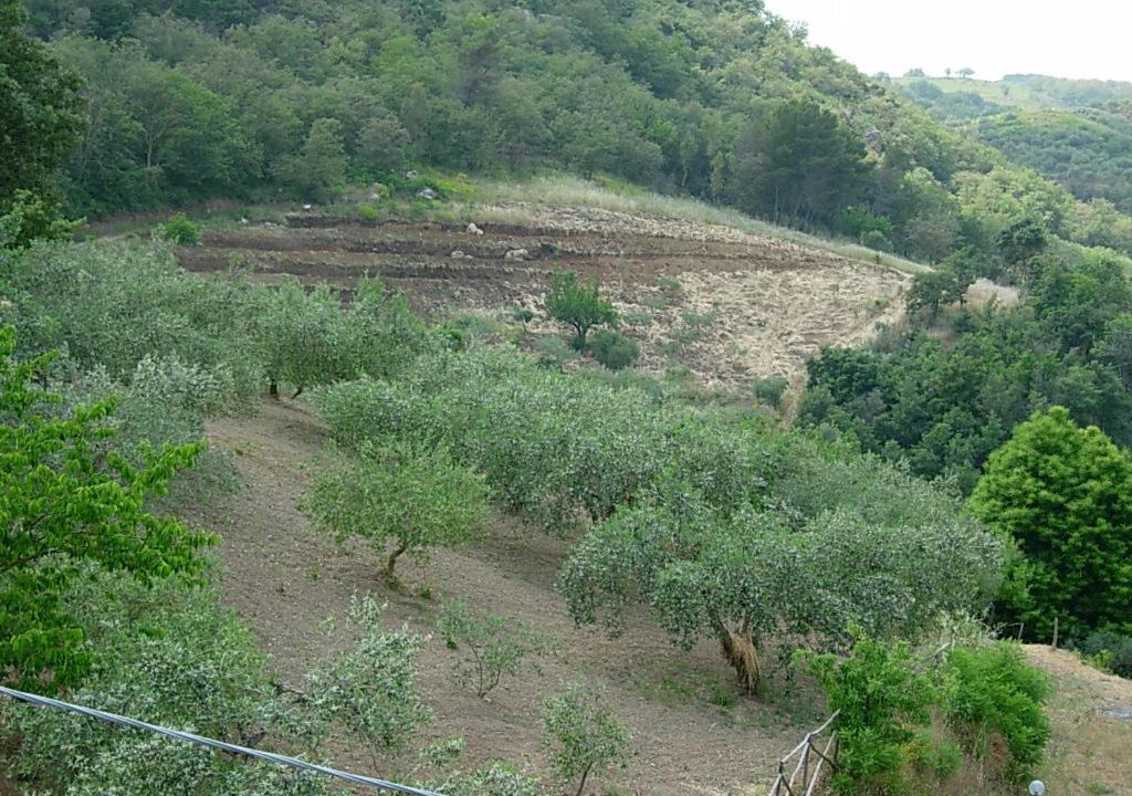 Photo of Others in Santa Cristina Gela