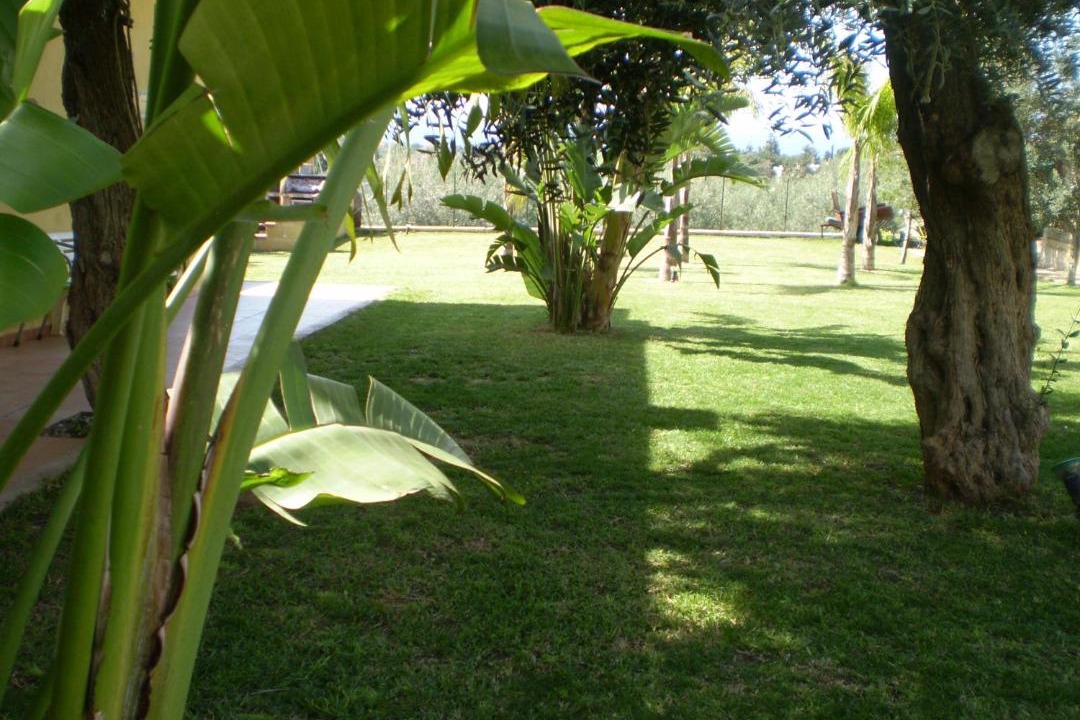 Photo of Outdoor in Terrasini