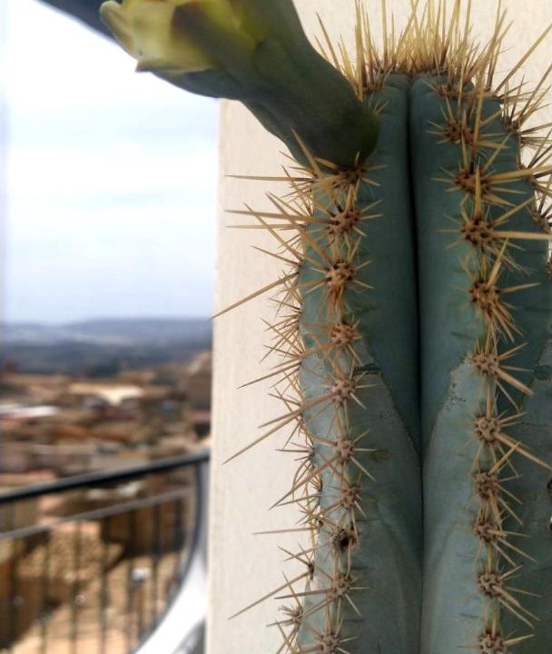 Photo of Others in Agrigento