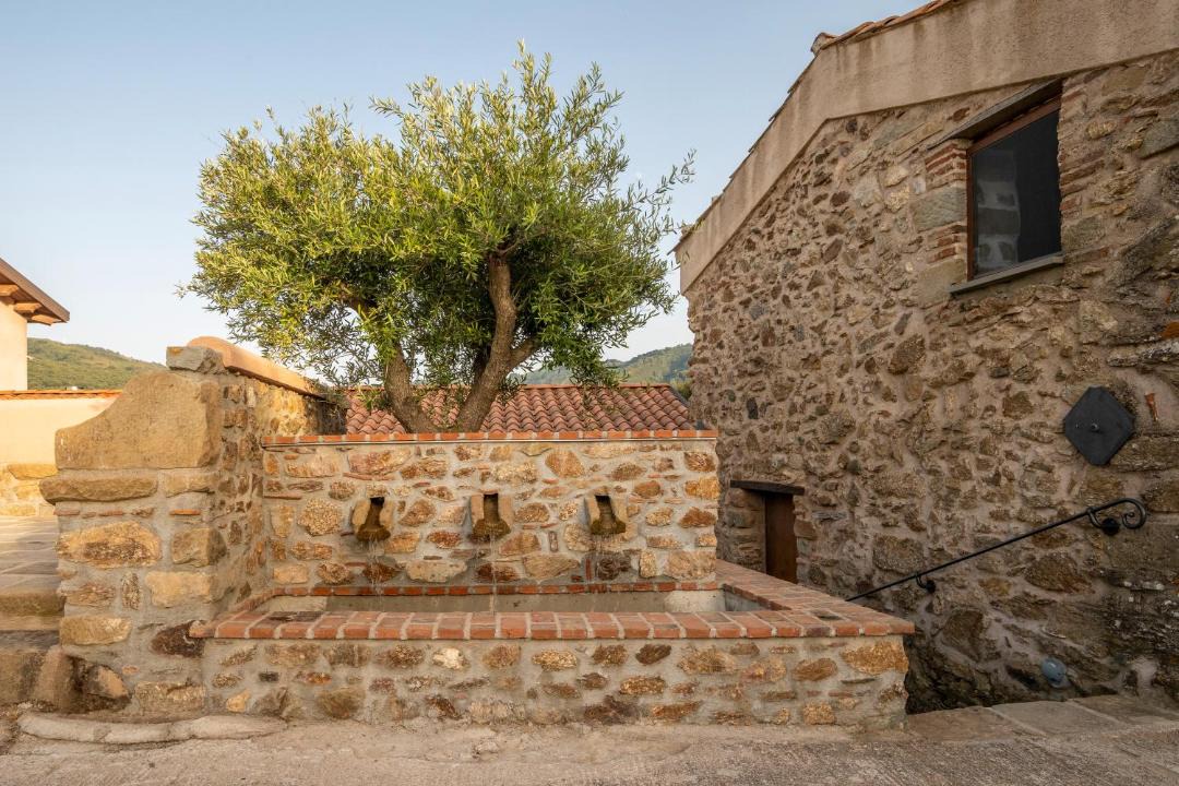 Photo of Others in Sant'Angelo di Brolo