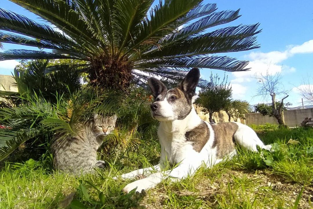 Photo of Others in Marsala