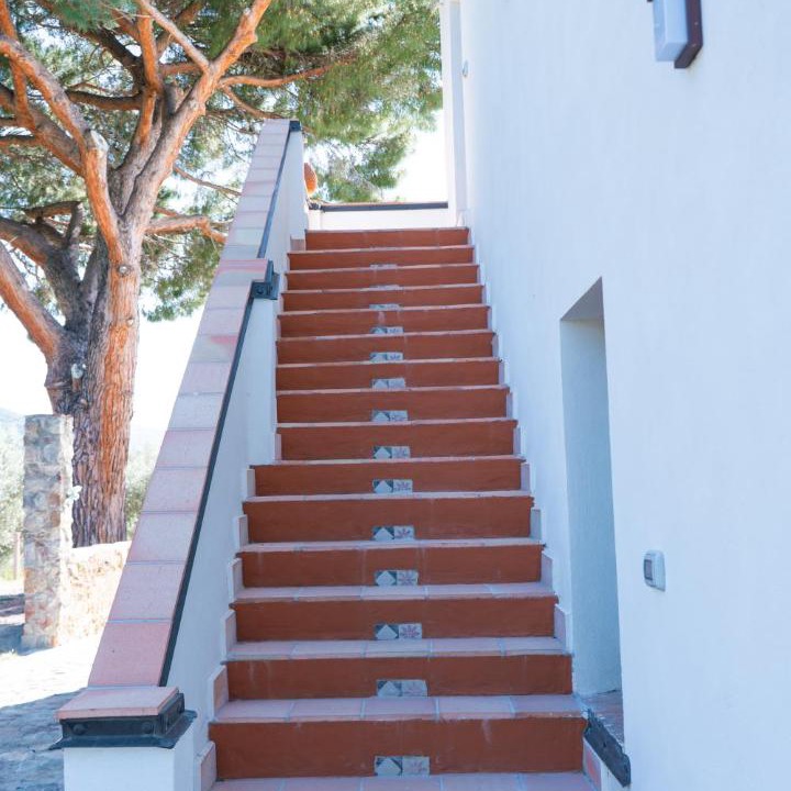 Photo of Others in Torrenova