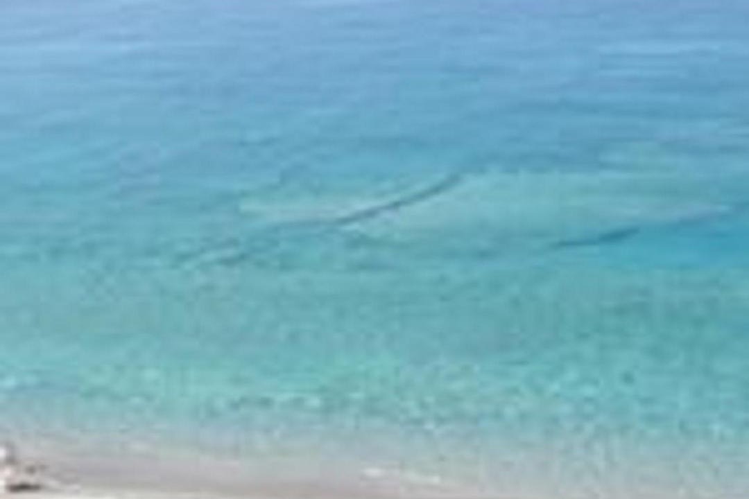 Photo of Outdoor in Gioiosa Marea