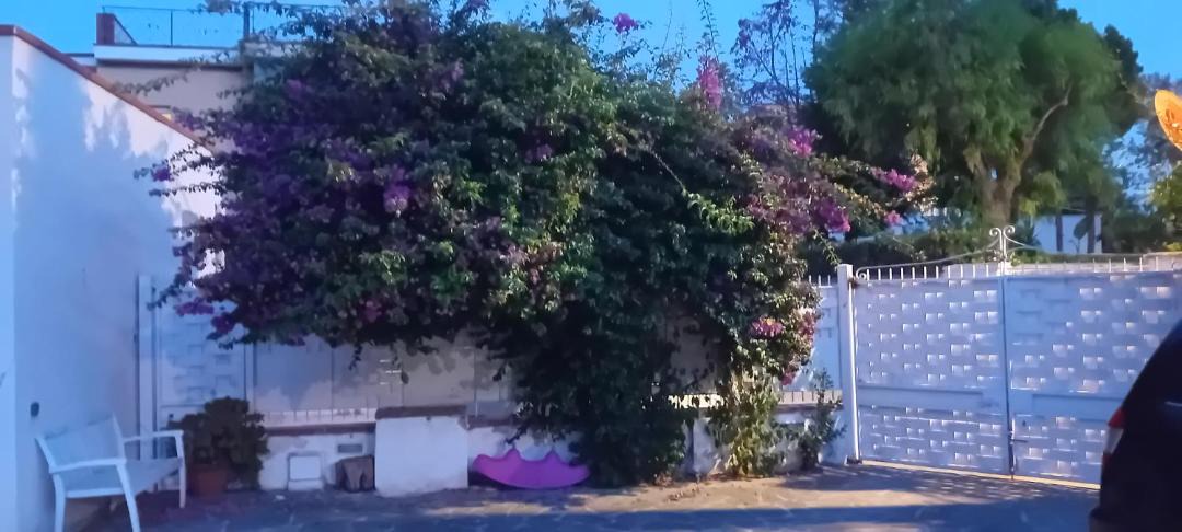 Photo of Others in Partanna