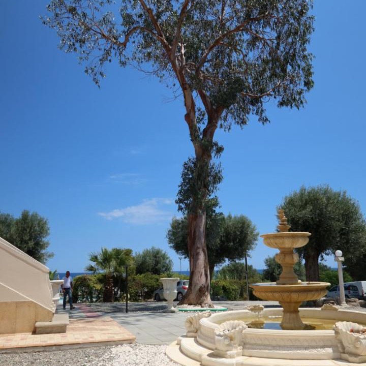 Photo of Others in Pietrapaola