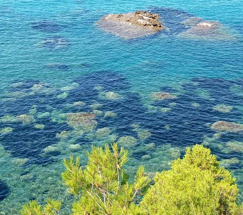 Photo of Others in Cefalu