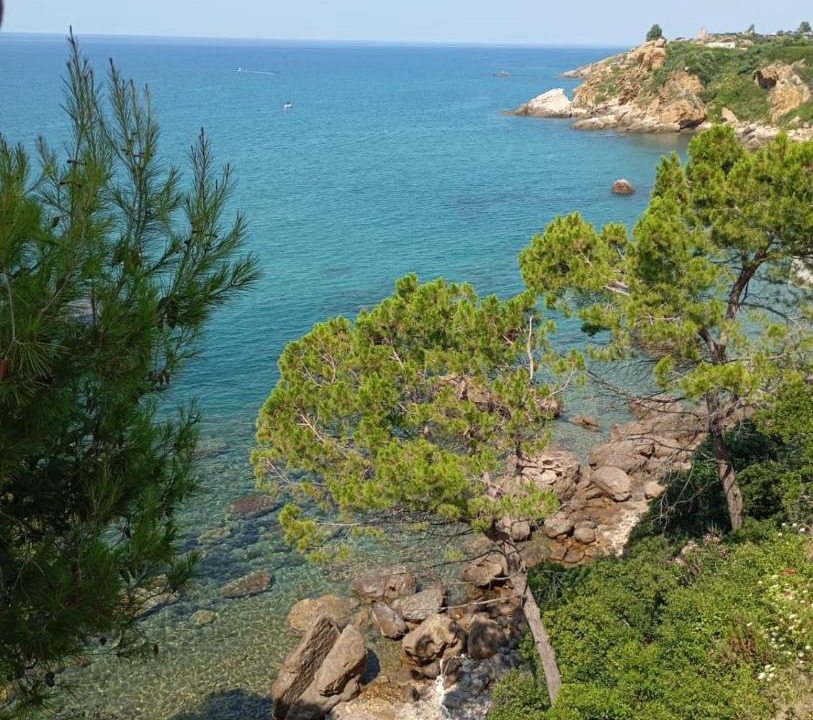 Photo of Others in Cefalu