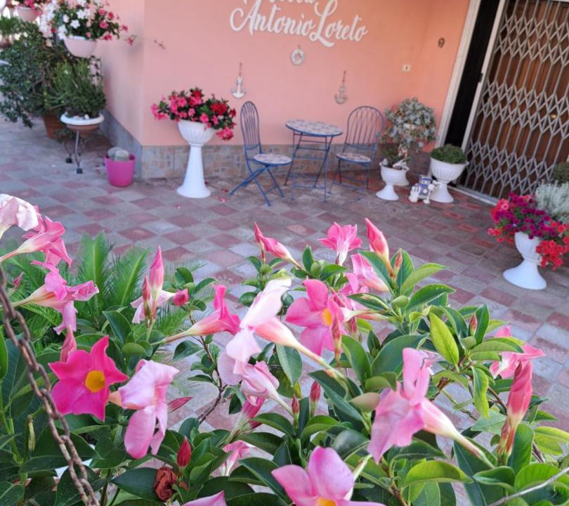 Photo of Others in Agropoli