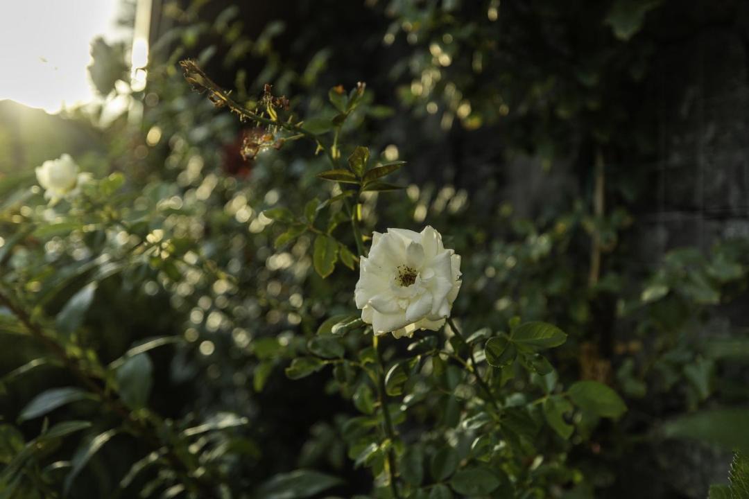 Photo of Outdoor in Viagrande