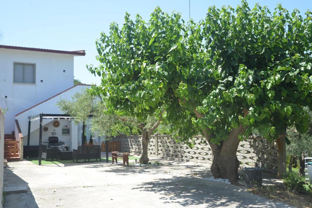 Photo of Others in Calatafimi