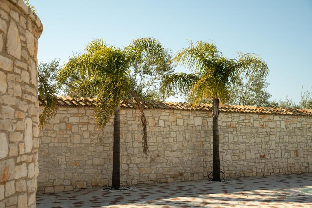 Photo of Others in Ruvo di Puglia