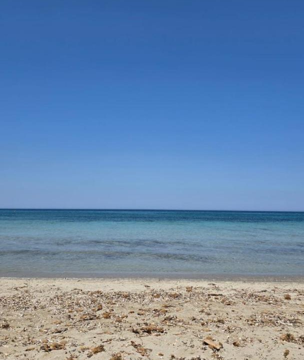 Photo of Others in Marzamemi