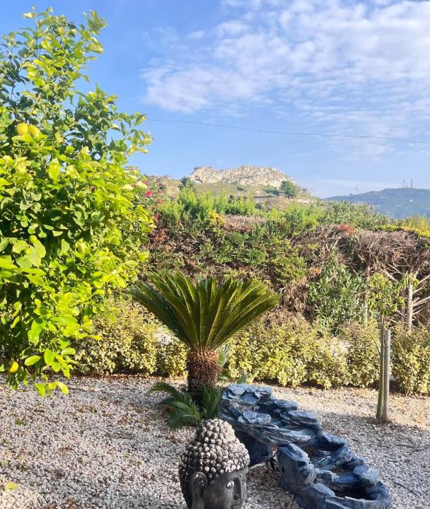 Photo of Outdoor in Favara