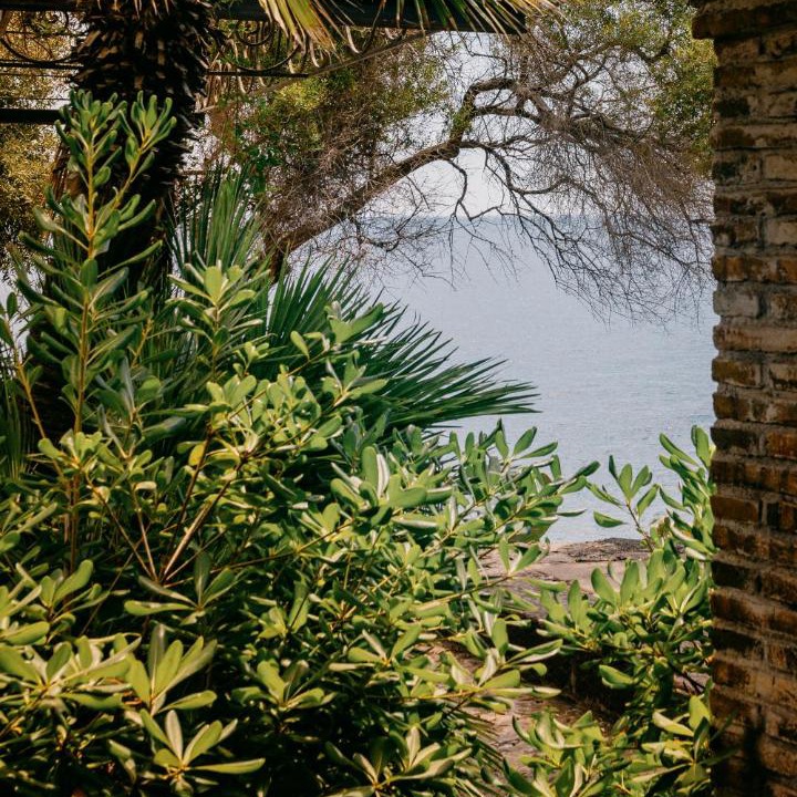 Photo of Others in Santa Tecla