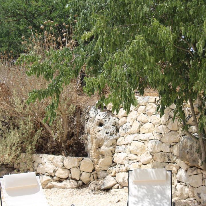 Photo of Others in Noto