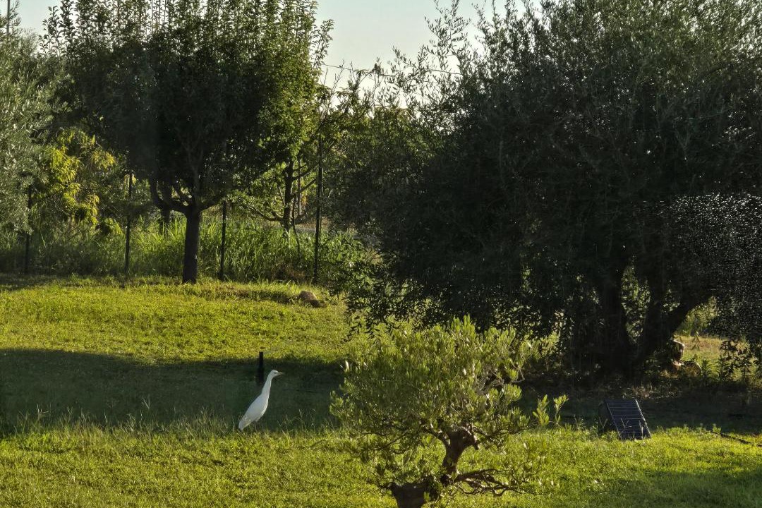 Photo of Others in Avola