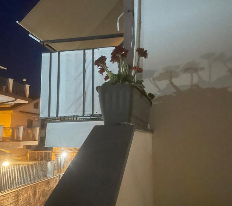 Photo of Others in Stazzo
