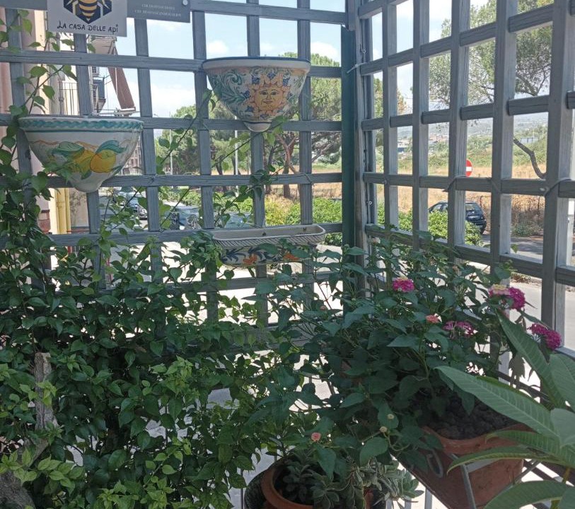 Photo of Patio Balcony in Paterno