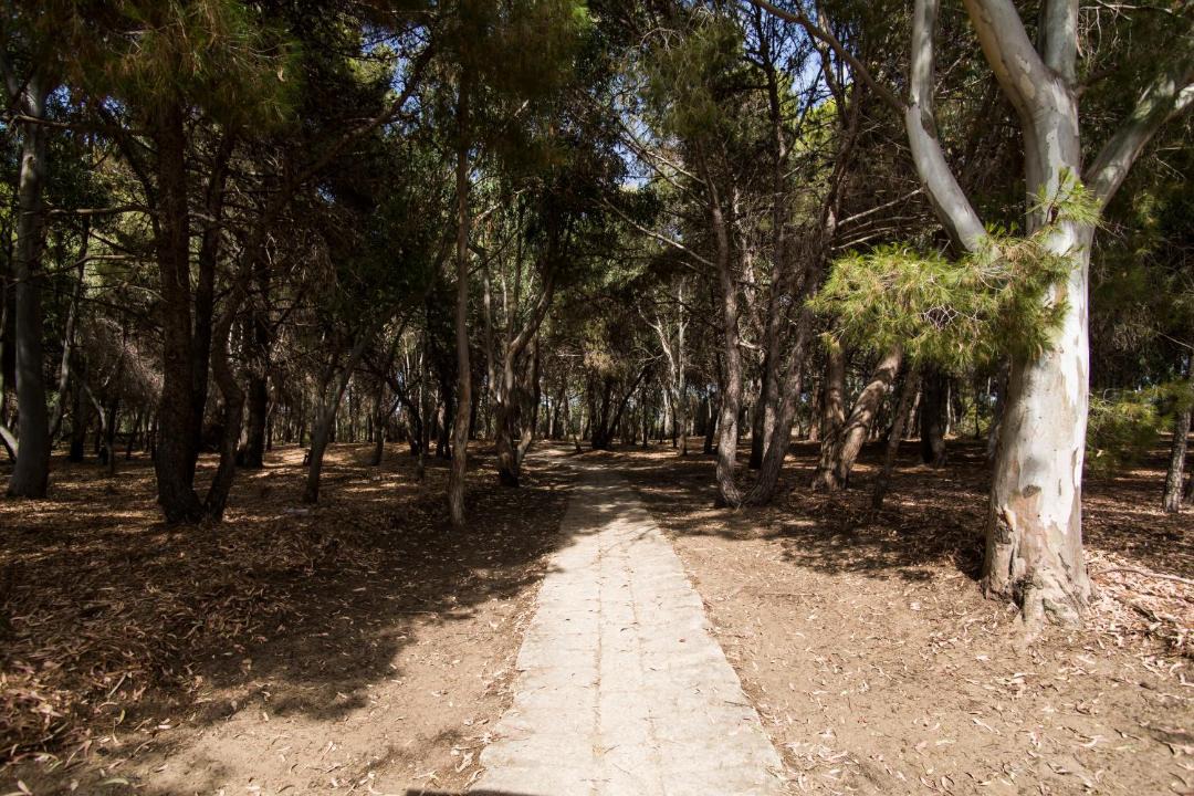 Photo of Outdoor in San Giorgio-Librino-San Giuseppe la Rena-Zia Lisa-Villaggio Sant'Agata
