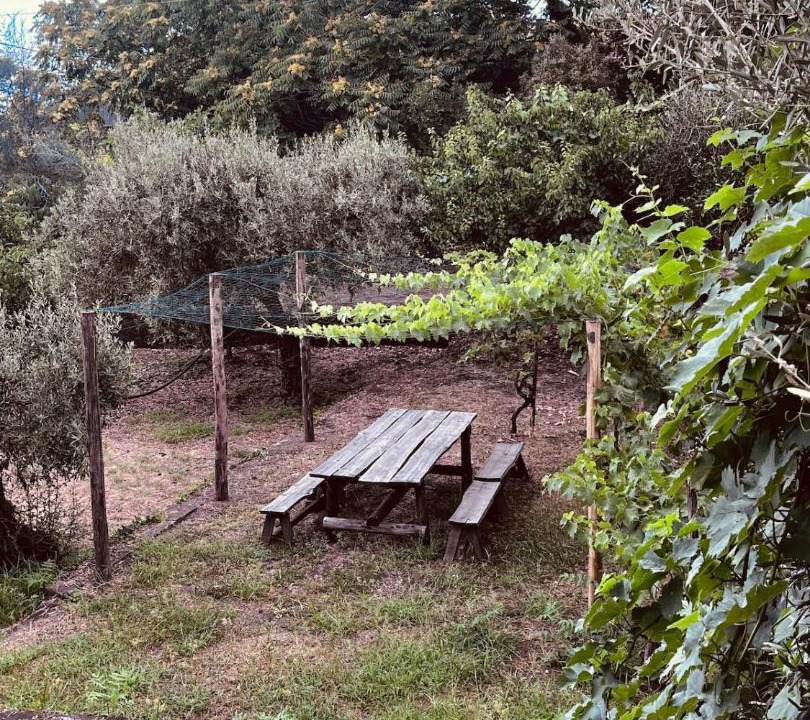 Photo of Others in Zafferana Etnea