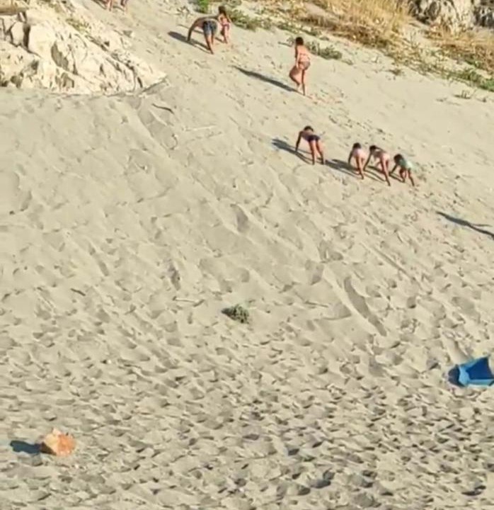 Photo of Others in Province of Messina