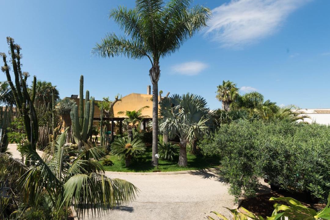 Photo of Outdoor in Marsala