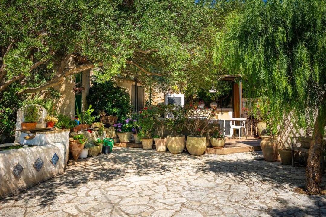 Photo of Others in Scopello