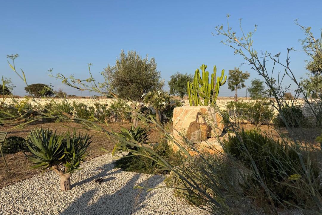 Photo of Others in Ragusa